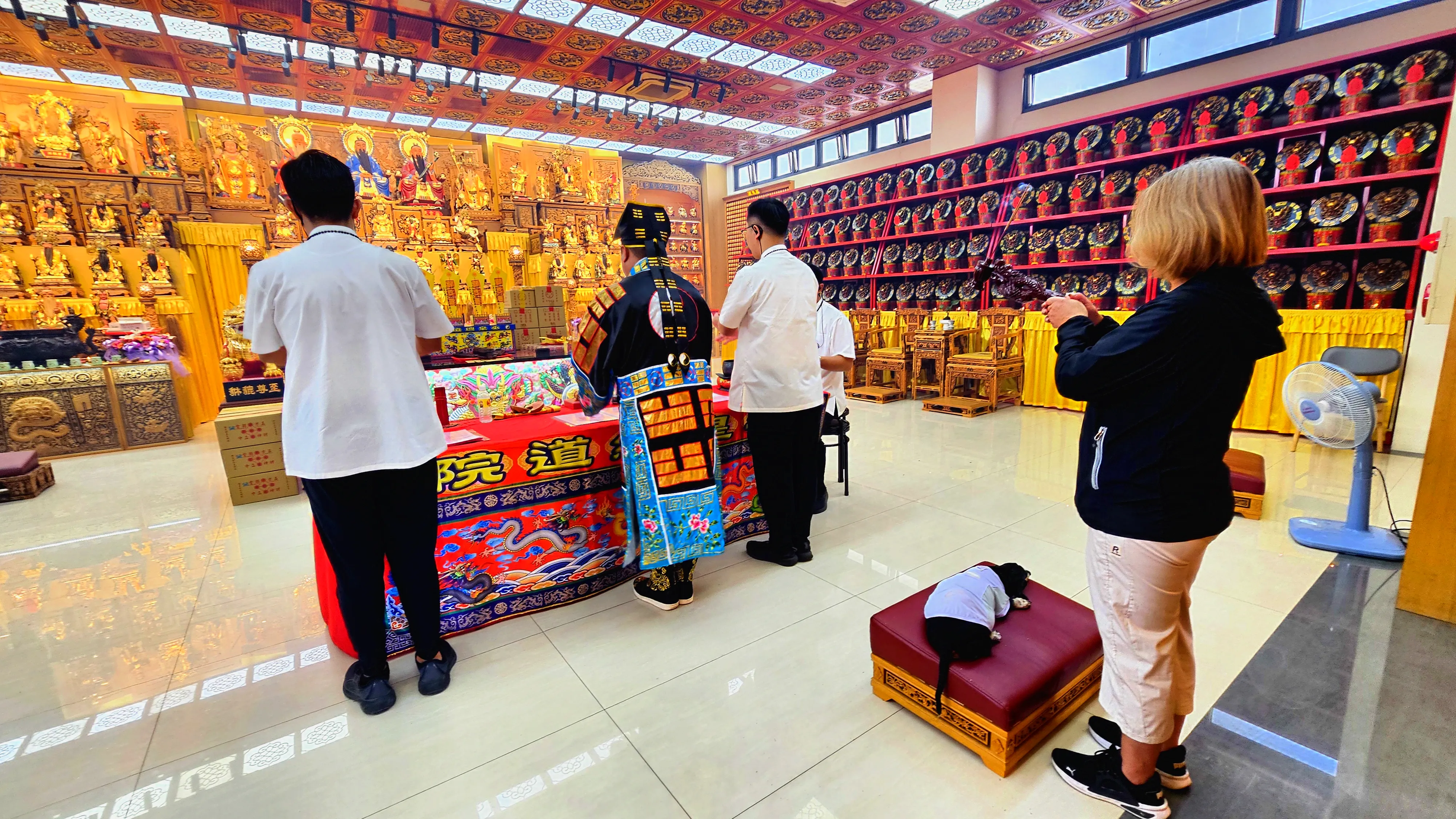 當得知毛小孩只剩半年壽命，你該如何抉擇？