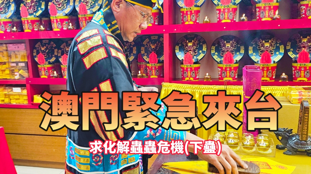 來自澳門的生意人，抖音看到丞皇，坐飛機來台求救！四天法下解蟲蟲危機