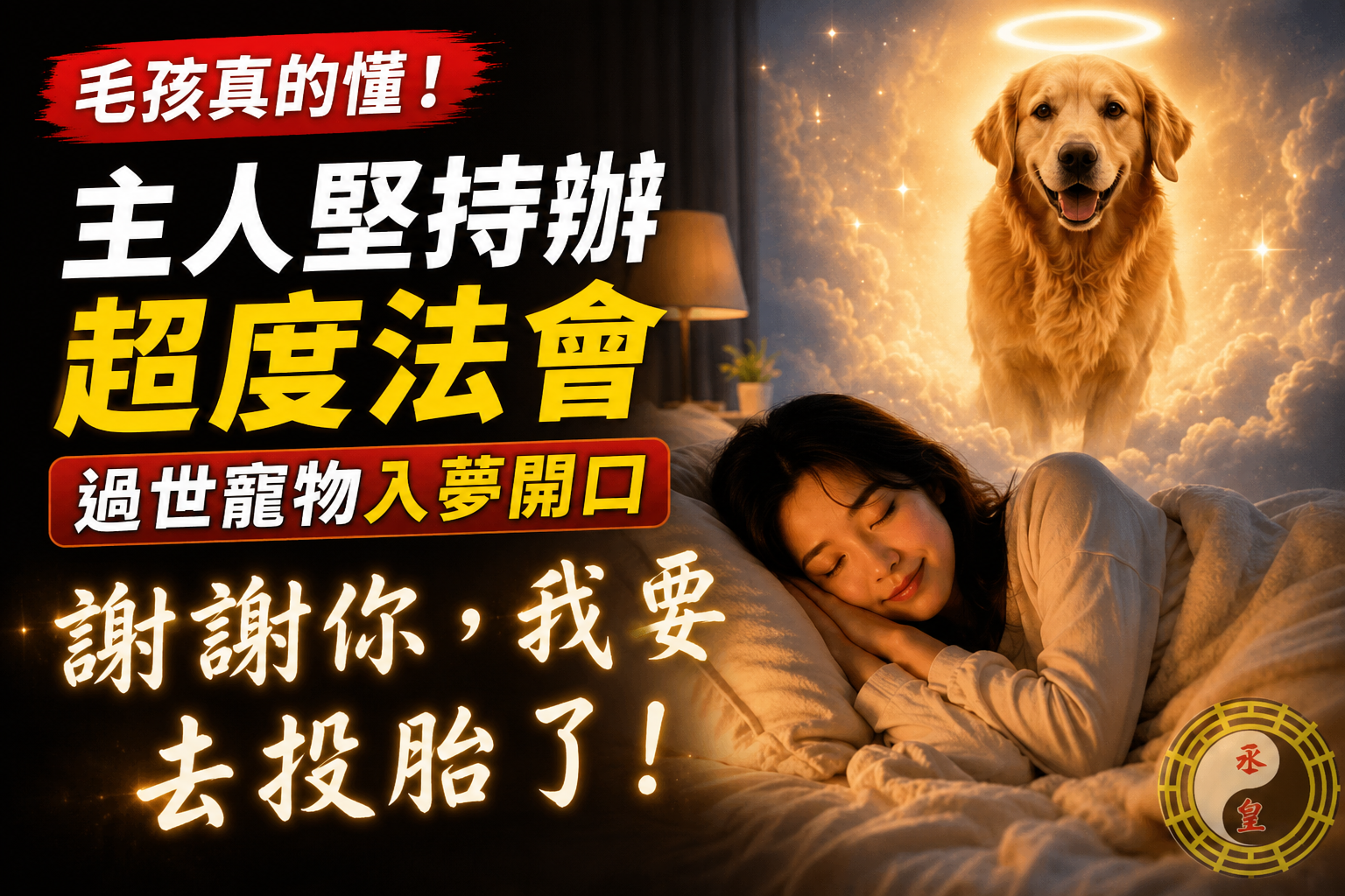 毛孩真的懂！主人堅持辦超度法會，過世寵物竟然入夢開口：謝謝你，我要去投胎了！